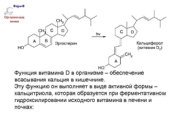 Фарм. Ф Органическая химия Функция витамина D в организме – обеспечение всасывания кальция в