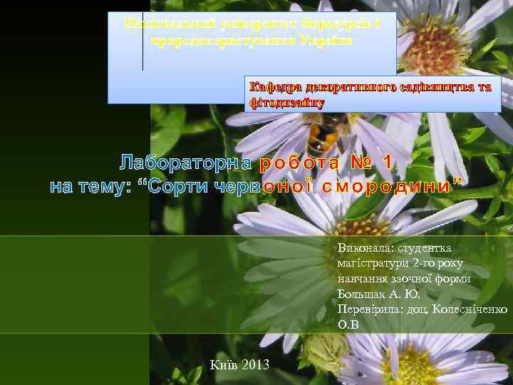 Національний університет біоресурсів і природокористування України Кафедра декоративного садівництва та фітодизайну Лабораторн а р