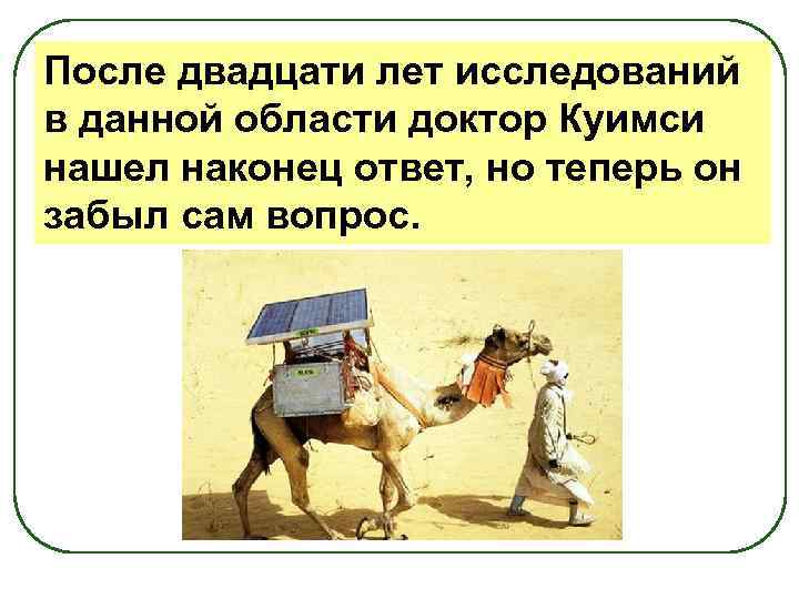 После двадцати лет исследований в данной области доктор Куимси нашел наконец ответ, но теперь