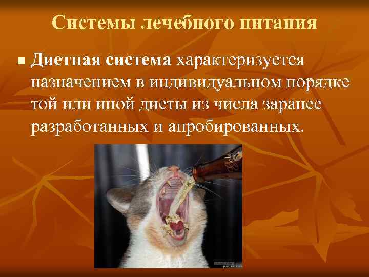 Системы лечебного питания n Диетная система характеризуется назначением в индивидуальном порядке той или иной