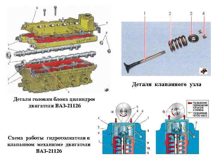 Детали клапанного узла Детали головки блока цилиндров двигателя ВАЗ-21126 Схема работы гидротолкателя в клапанном