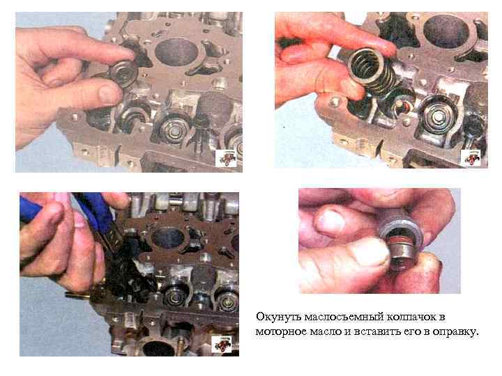 Окунуть маслосъемный колпачок в моторное масло и вставить его в оправку. 