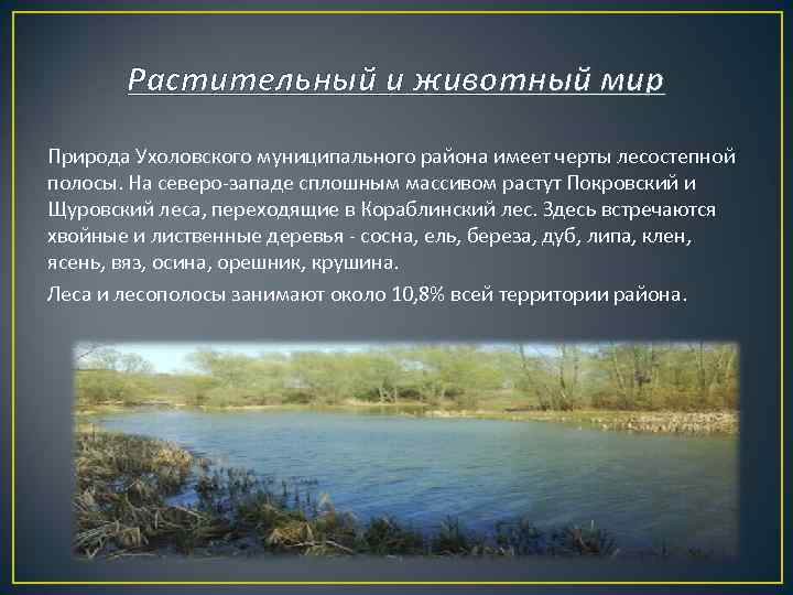 Растительный и животный мир Природа Ухоловского муниципального района имеет черты лесостепной полосы. На северо-западе