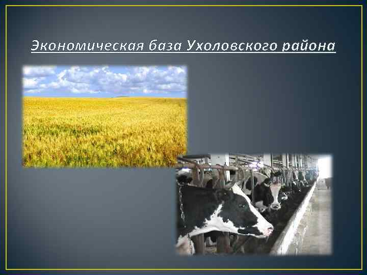 Экономическая база Ухоловского района 