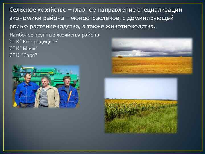 Сельское хозяйство – главное направление специализации экономики района – моноотраслевое, с доминирующей ролью растениеводства,