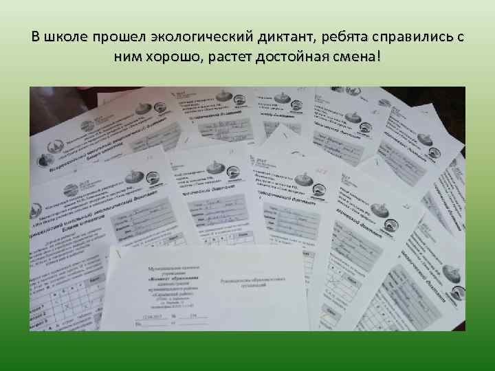 В школе прошел экологический диктант, ребята справились с ним хорошо, растет достойная смена! 