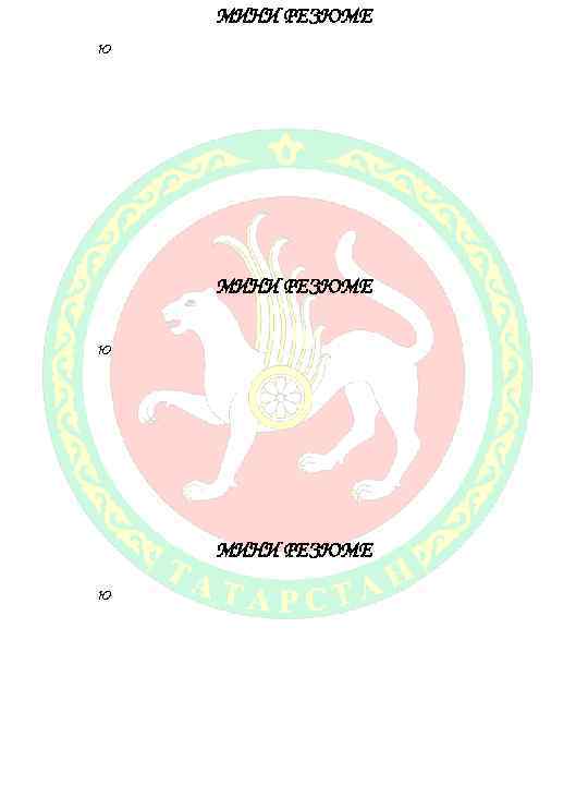 МИНИ РЕЗЮМЕ ю 