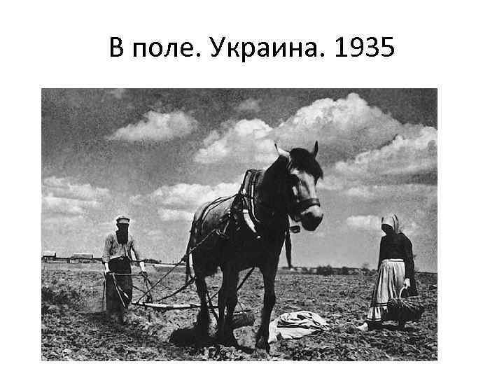 В поле. Украина. 1935 