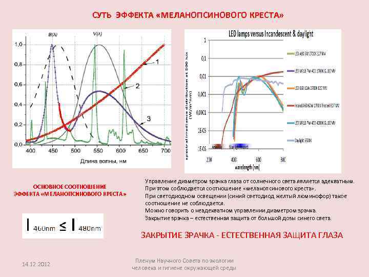 СУТЬ ЭФФЕКТА «МЕЛАНОПСИНОВОГО КРЕСТА» ОСНОВНОЕ СООТНОШЕНИЕ ЭФФЕКТА «МЕЛАНОПСИНОВОГО КРЕСТА» Управление диаметром зрачка глаза от