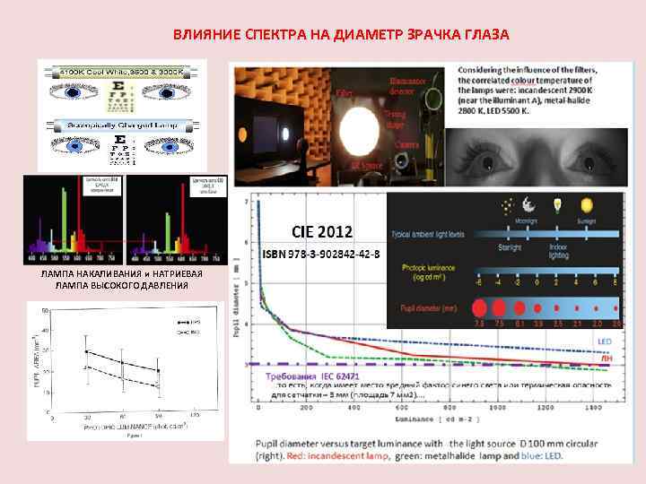 ВЛИЯНИЕ СПЕКТРА НА ДИАМЕТР ЗРАЧКА ГЛАЗА ЛАМПА НАКАЛИВАНИЯ и НАТРИЕВАЯ ЛАМПА ВЫСОКОГО ДАВЛЕНИЯ 