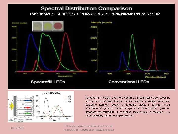 ГАРМОНИЗАЦИЯ СПЕКТРА ИСТОЧНИКА СВЕТА С RGB-КОЛБОЧКАМИ ГЛАЗА ЧЕЛОВЕКА Трехцветная теория цветного зрения, основанная Ломоносовым,