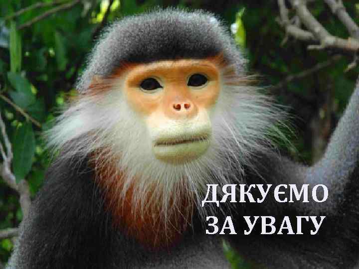 ДЯКУЄМО ЗА УВАГУ 