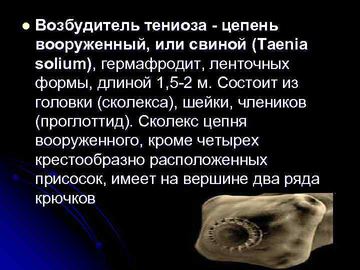 l Возбудитель тениоза - цепень свиной (Taenia вооруженный, или solium), гермафродит, ленточных формы, длиной