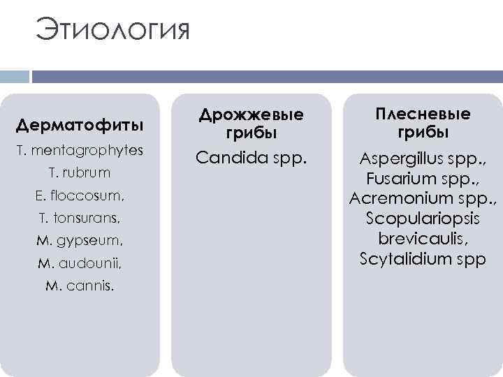 Этиология Дерматофиты Т. mentagrophytes Т. rubrum E. floccosum, Т. tonsurans, M. gypseum, M. audounii,