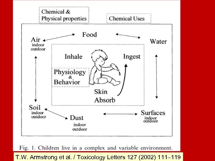 T. W. Armstrong et al. / Toxicology Letters 127 (2002) 111– 119 
