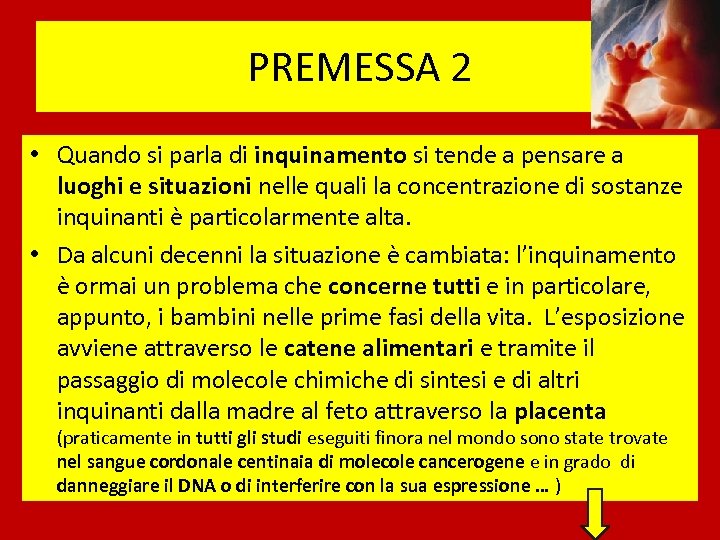 PREMESSA 2 • Quando si parla di inquinamento si tende a pensare a luoghi