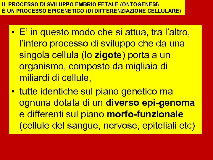 IL PROCESSO DI SVILUPPO EMBRIO FETALE (ONTOGENESI) È UN PROCESSO EPIGENETICO (DI DIFFERENZIAZIONE CELLULARE)