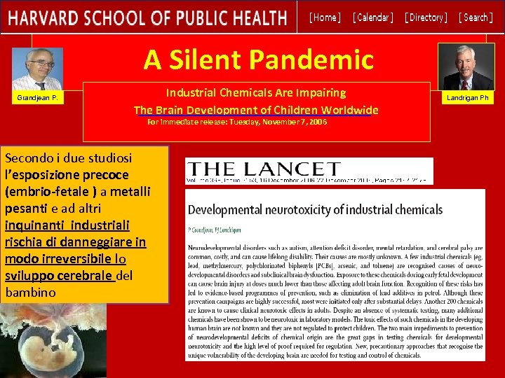 A Silent Pandemic Grandjean P. Industrial Chemicals Are Impairing The Brain Development of Children