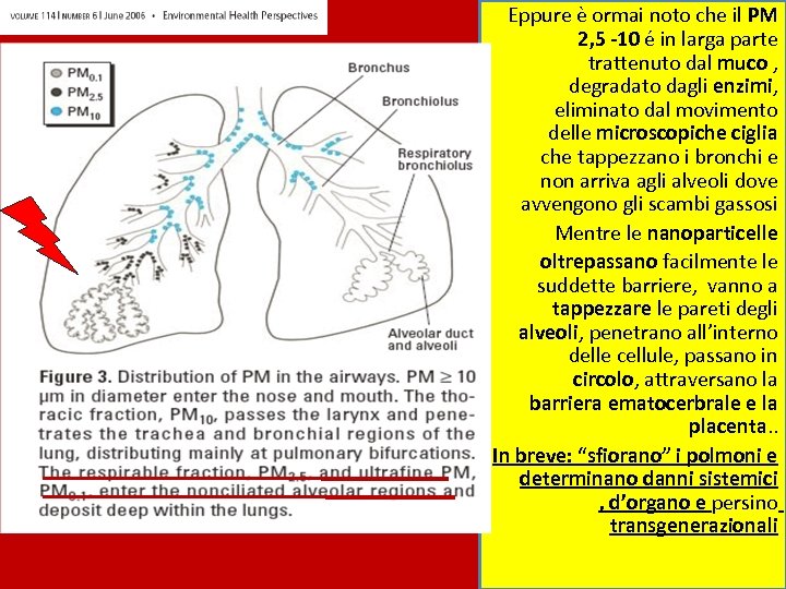 Eppure è ormai noto che il PM 2, 5 -10 é in larga parte