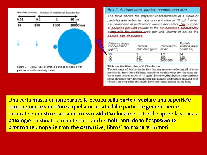 Una certa massa di nanoparticelle occupa sulla parte alveolare una superficie enormemente superiore a