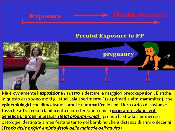 Ma è ovviamente l’esposizione in utero a destare le maggiori preoccupazioni. E anche in