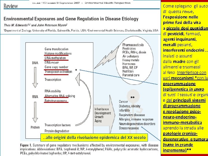 * ** . . alle origini della rivoluzione epidemica del XX secolo Come spiegano