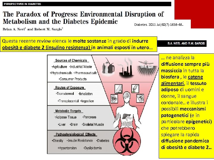 Diabetes. 2011 Jul; 60(7): 1838 -48. Questa recente review elenca le molte sostanze in