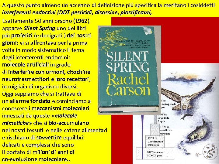 A questo punto almeno un accenno di definizione più specifica la meritano i cosiddetti