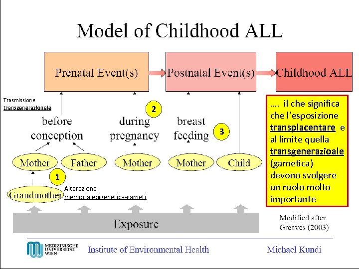 Trasmissione transgenerazionale 2 3 1 Alterazione memoria epigenetica-gameti …. il che significa che l’esposizione
