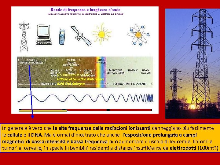 Dr. Fiorenzo Marinelli Istituto di Genetica Molecolare IGM-CNR Bologna In generale è vero che