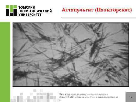 Аттапульгит (Палыгорскит) Курс «Буровые технологические жидкости» Лекция 5 «Основы химии глинопорошков» » 17 