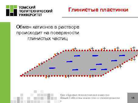 Глинистые пластинки Обмен катионов в растворе происходит на поверхности глинистых частиц + l +