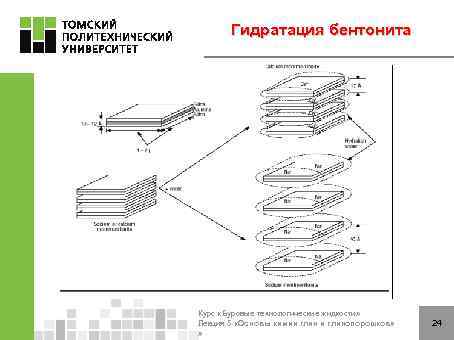 Гидратация бентонита Глины Монтмориллонит Иллит Каолинит Аттапульгит Катионообменная емкость Мг-экв / 100 г 70