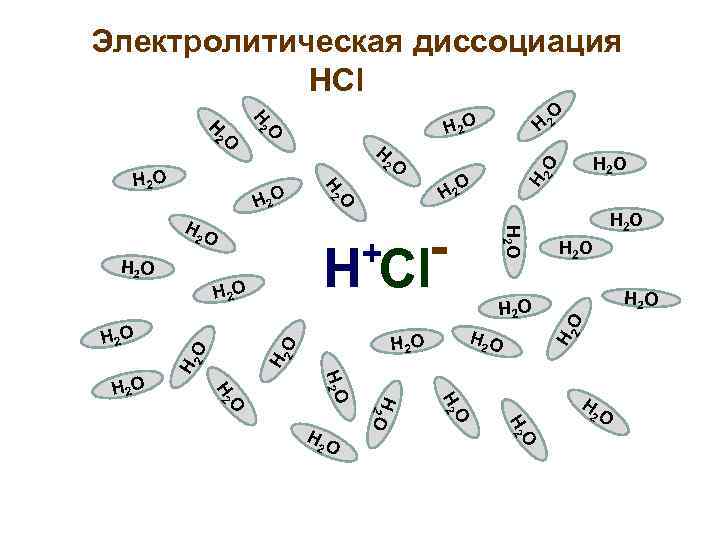 Электролитическая диссоциация HCl O H 2 O H 2 O H 2 HO 2