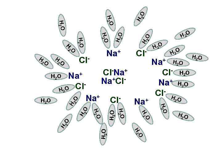Cl- H 2 O H 2 O Cl. Na+ H 2 O 2 O