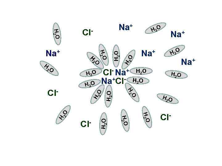 2 O Cl- Na+Cl- H 2 O 2 O H H 2 O Na+