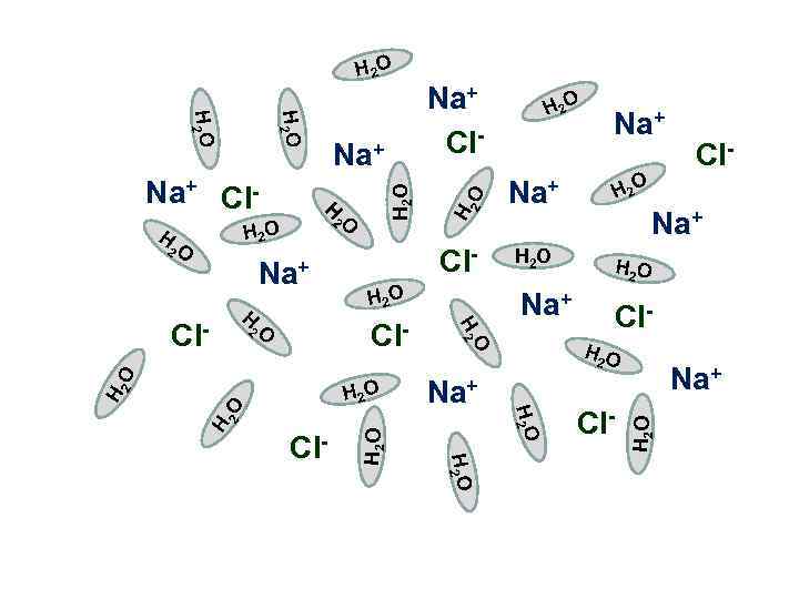 H 2 O 2 O 2 O H 2 O Na+ Cl- H 2