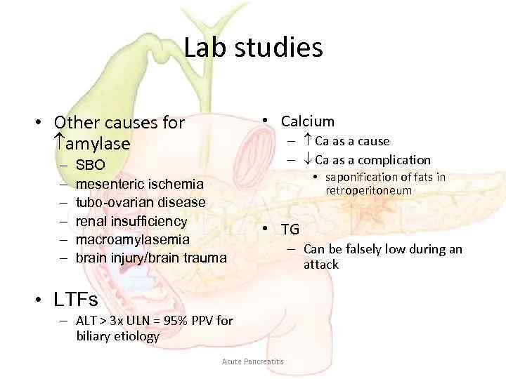 Lab studies • Other causes for amylase – – – • Calcium SBO mesenteric