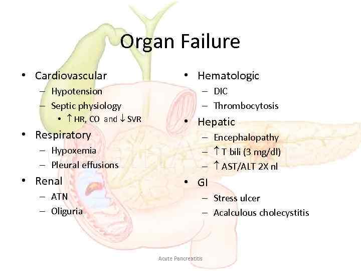 Organ Failure • Cardiovascular – Hypotension – Septic physiology • HR, CO and SVR