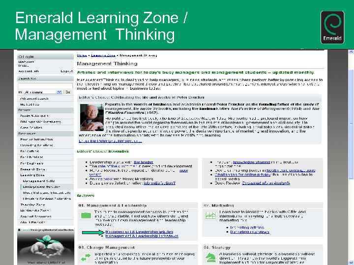 Emerald Learning Zone / Management Thinking 