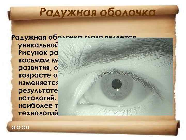 Радужная оболочка глаза является уникальной характеристикой человека. Рисунок радужки формируется на восьмом месяце внутриутробного