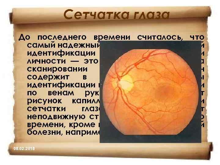 Сетчатка глаза До последнего времени считалось, что самый надежный метод биометрической идентификации и аутентификации