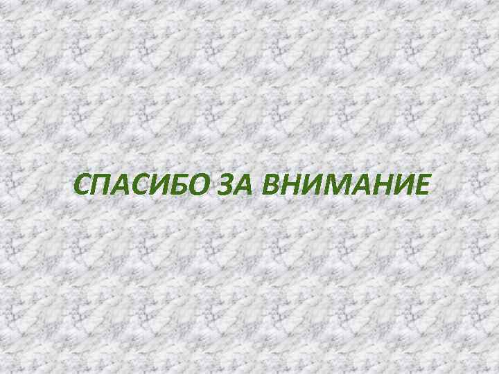 СПАСИБО ЗА ВНИМАНИЕ 