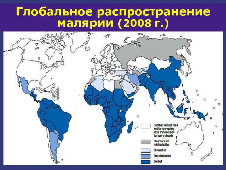 Глобальное распространение малярии (2008 г. ) 