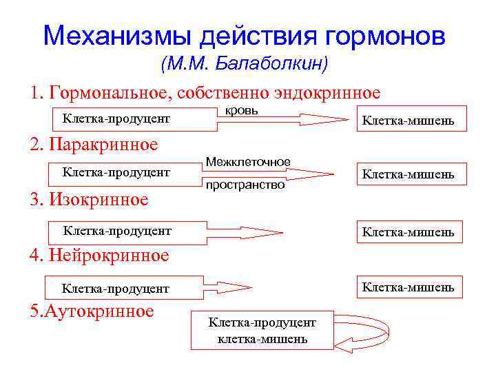 Механизмы действия гормонов (М. М. Балаболкин) 1. Гормональное, собственно эндокринное Клетка-продуцент кровь Клетка-мишень 2.