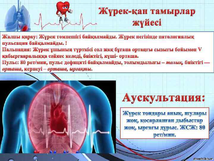 Жүрек-қан тамырлар жүйесі Жалпы қарау: Жүрек төмпешігі байқалмайды. Жүрек негізінде патологиялық пульсация байқалмайды. Пальпация: