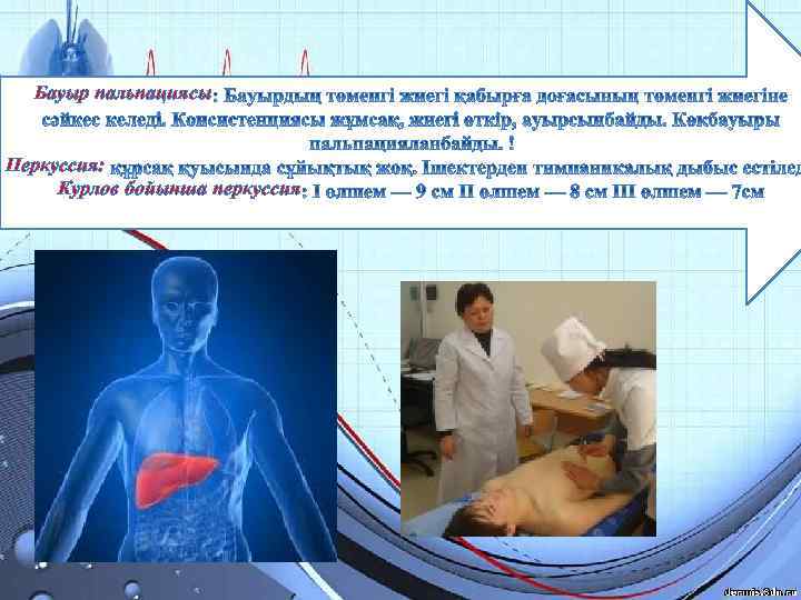 Бауыр пальпациясы Перкуссия: Курлов бойынша перкуссия 