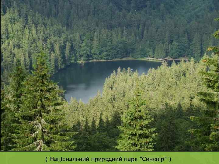 ( Національний природний парк "Синевір" ) 