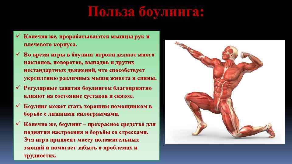 Польза боулинга: ü Конечно же, прорабатываются мышцы рук и плечевого корпуса. ü Во время