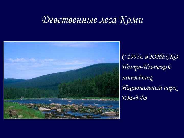 Девственные леса Коми С 1995 г. в ЮНЕСКО Печоро-Илычский заповедник; Национальный парк Югыд Ва